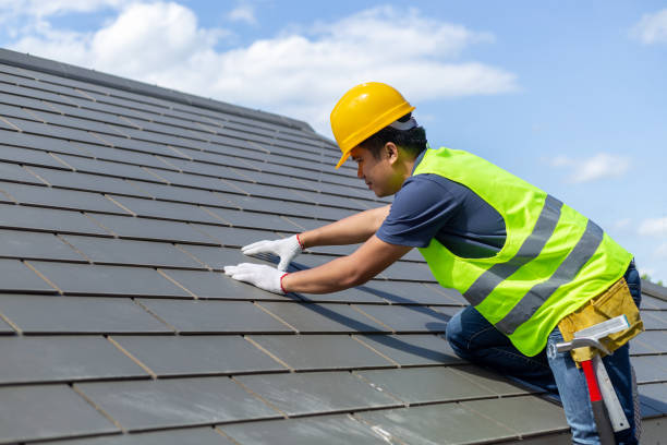 Roof Gutter Cleaning in Robinson, IL