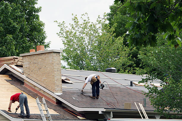 Best Storm Damage Roof Repair  in Robinson, IL
