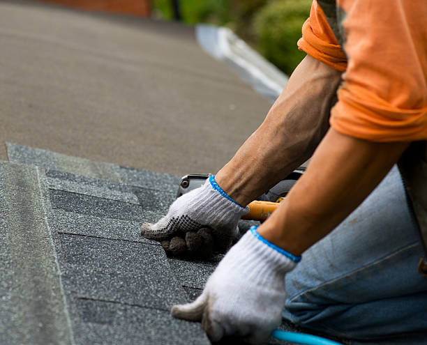 Best New Roof Installation  in Robinson, IL